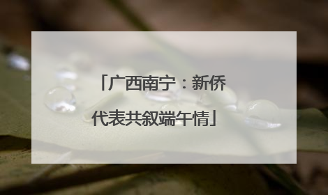 广西南宁：新侨代表共叙端午情