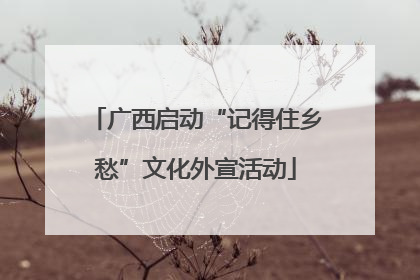 广西启动“记得住乡愁”文化外宣活动