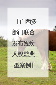 广西多部门联合发布残疾人权益典型案例