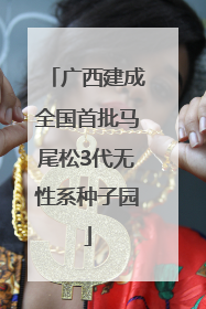 广西建成全国首批马尾松3代无性系种子园