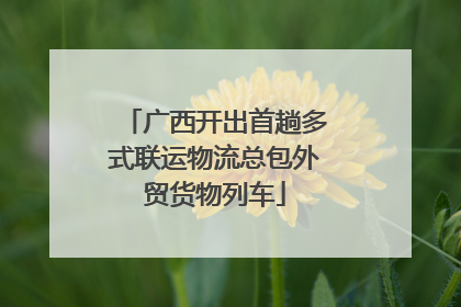 广西开出首趟多式联运物流总包外贸货物列车