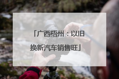 广西梧州：以旧换新汽车销售旺