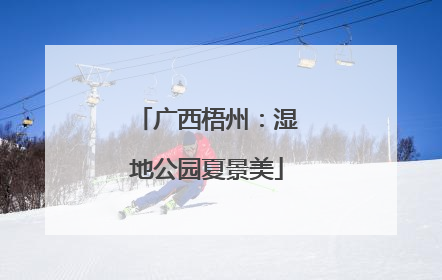 广西梧州：湿地公园夏景美