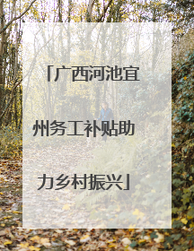 广西河池宜州务工补贴助力乡村振兴