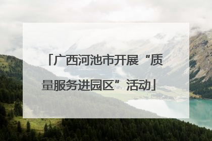 广西河池市开展“质量服务进园区”活动