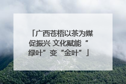 广西苍梧以茶为媒促振兴 文化赋能“绿叶”变“金叶”