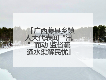 广西藤县乡镇人大代表闻“汛”而动 监督疏通水渠解民忧
