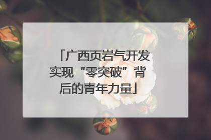 广西页岩气开发实现“零突破”背后的青年力量