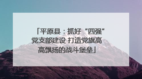 平原县：抓好“四强”党支部建设 打造党旗高高飘扬的战斗堡垒