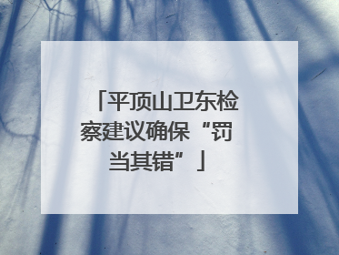 平顶山卫东检察建议确保“罚当其错”