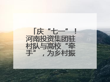 庆“七一”！河南投资集团驻村队与高校“牵手”，为乡村振兴添新活力
