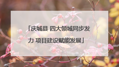 庆城县 四大领域同步发力 项目建设赋能发展