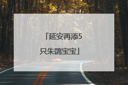 延安再添5只朱鹮宝宝