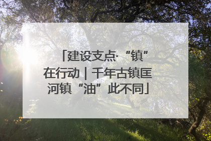 建设支点·“镇”在行动｜千年古镇匡河镇“油”此不同