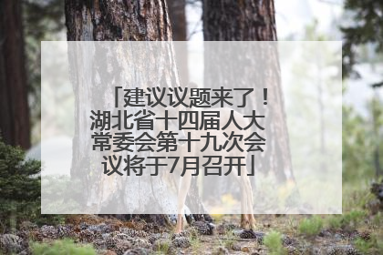 建议议题来了！湖北省十四届人大常委会第十九次会议将于7月召开