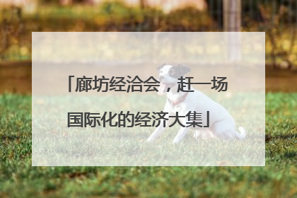 廊坊经洽会，赶一场国际化的经济大集