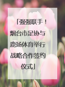 强强联手！烟台市足协与鹿扬体育举行战略合作签约仪式