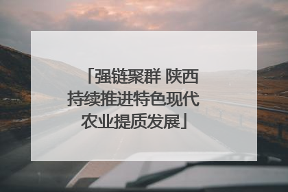 强链聚群 陕西持续推进特色现代农业提质发展