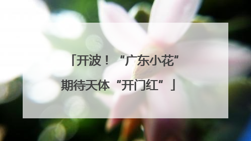 开波！“广东小花”期待天体“开门红”