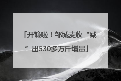 开镰啦！邹城麦收“减”出530多万斤增量