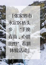 张家界市永定区桥头乡：“手挽春苗，心耕田野”春耕体验活动