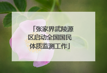 张家界武陵源区启动全国国民体质监测工作