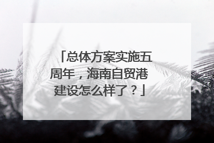 总体方案实施五周年，海南自贸港建设怎么样了？