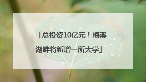 总投资10亿元！梅溪湖畔将新增一所大学