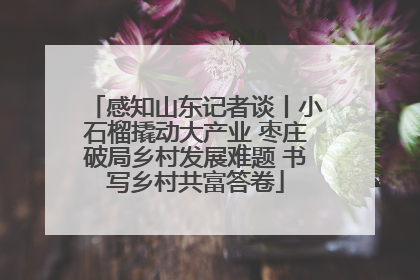 感知山东记者谈丨小石榴撬动大产业 枣庄破局乡村发展难题 书写乡村共富答卷