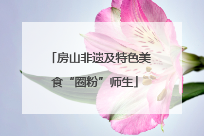房山非遗及特色美食“圈粉”师生