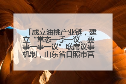 成立油桃产业链，建立“常态一季一议、要事一事一议”联席议事机制，山东省日照市莒县果庄镇——13个党小组“全周期”育果