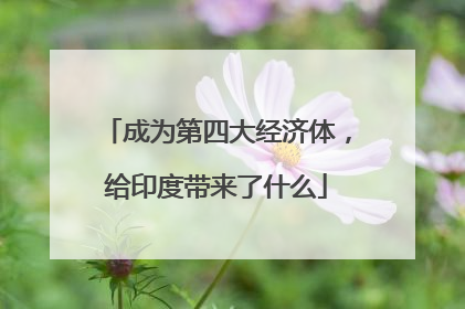 成为第四大经济体，给印度带来了什么