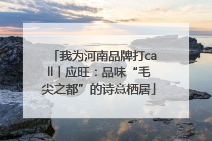 我为河南品牌打call丨应旺：品味“毛尖之都”的诗意栖居