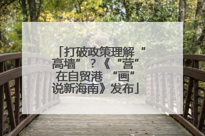 打破政策理解“高墙”？《“营”在自贸港 “画”说新海南》发布