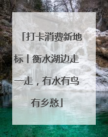 打卡消费新地标丨衡水湖边走一走，有水有鸟有乡愁