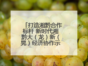 打造湘黔合作标杆 新时代湘黔大（龙）新（晃）经济协作示范园建设签约