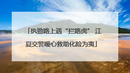 执勤路上遇“拦路虎” 江夏交警暖心救助化险为夷