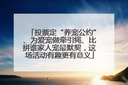 投票定“养宠公约”、为爱宠做牵引绳、比拼谁家人宠最默契，这场活动有趣更有意义