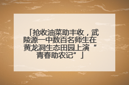 抢收油菜助丰收，武陵源一中数百名师生在黄龙洞生态田园上演“青春助农记”