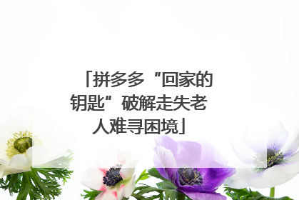 拼多多“回家的钥匙”破解走失老人难寻困境