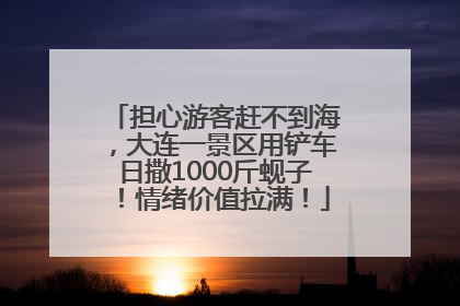 担心游客赶不到海，大连一景区用铲车日撒1000斤蚬子！情绪价值拉满！