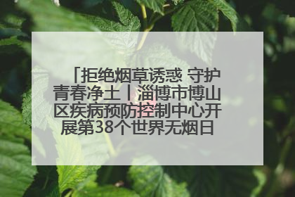 拒绝烟草诱惑 守护青春净土丨淄博市博山区疾病预防控制中心开展第38个世界无烟日系列控烟行动