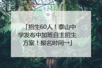 招生60人！泰山中学发布中加班自主招生方案！报名时间→