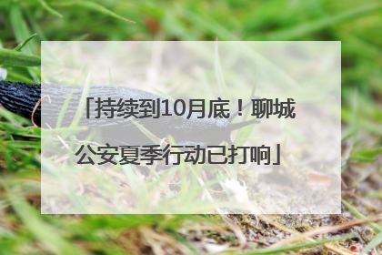 持续到10月底！聊城公安夏季行动已打响