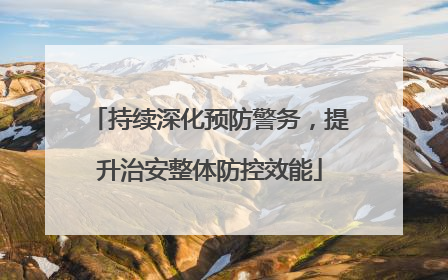 持续深化预防警务，提升治安整体防控效能