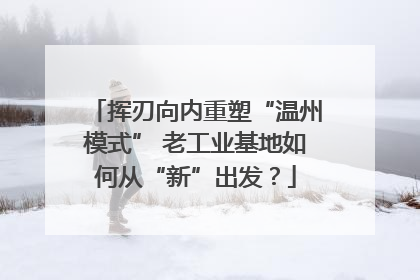 挥刃向内重塑“温州模式” 老工业基地如何从“新”出发？