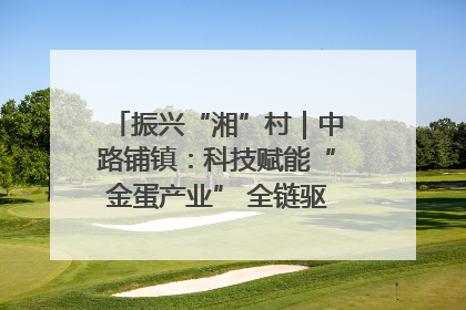 振兴“湘”村｜中路铺镇：科技赋能“金蛋产业” 全链驱动乡村振兴