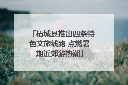 柘城县推出四条特色文旅线路 点燃暑期近郊游热潮