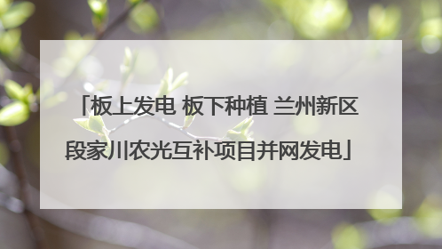 板上发电 板下种植 兰州新区段家川农光互补项目并网发电