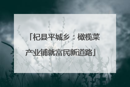 杞县平城乡：橄榄菜产业铺就富民新道路